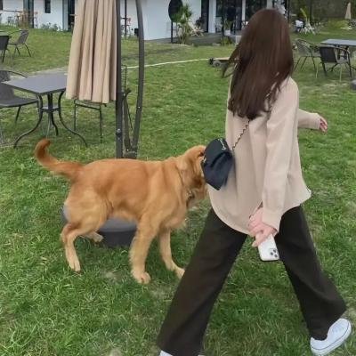 清明上河图密码海报